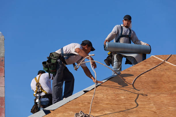 Best Roof Leak Repair  in Rochester, IL