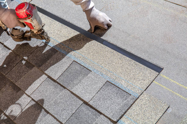 Best Metal Roofing Contractor  in Rochester, IL